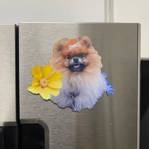 Whitney added a photo of their purchase