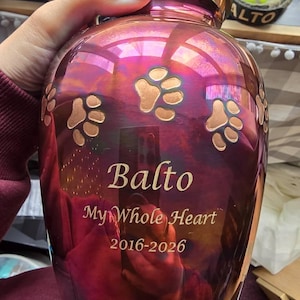 Angel added a photo of their purchase