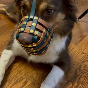 Biothane Basket Dog Muzzle Adjustable Extra Small to Extra - Etsy