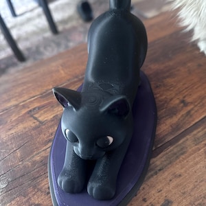 Andromede heeft een foto van de aankoop toegevoegd