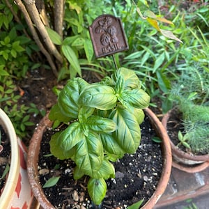 Maria-Elena added a photo of their purchase