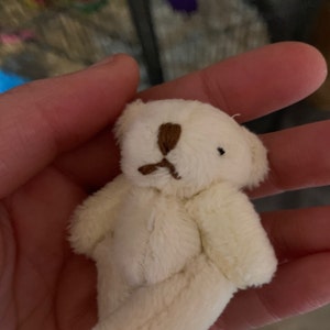 Lex added a photo of their purchase