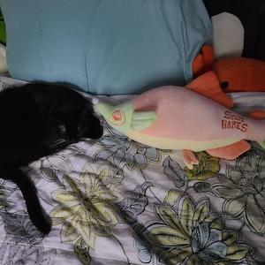 Millie added a photo of their purchase