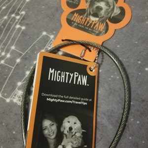 mighty paw doggy doorbell
