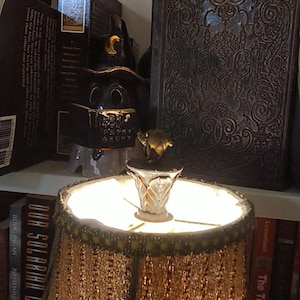 Solaris added a photo of their purchase