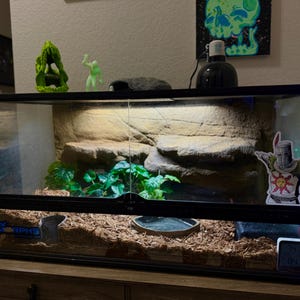 Emma added a photo of their purchase