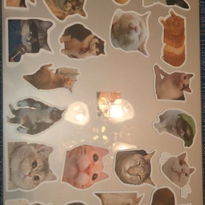 Jill added a photo of their purchase