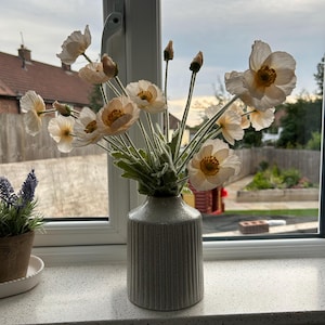 laura added a photo of their purchase