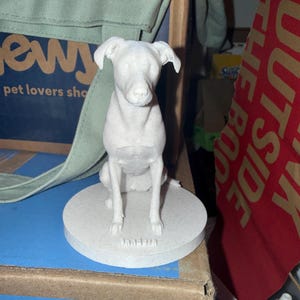 Alyssa added a photo of their purchase