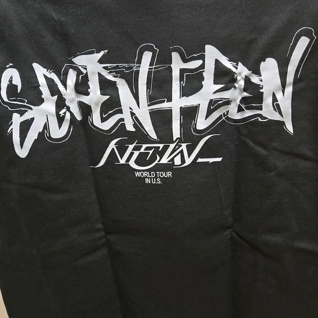 Seventeen World Tour New_ T-shirt, Seventeen World Tour 2025 Shirt