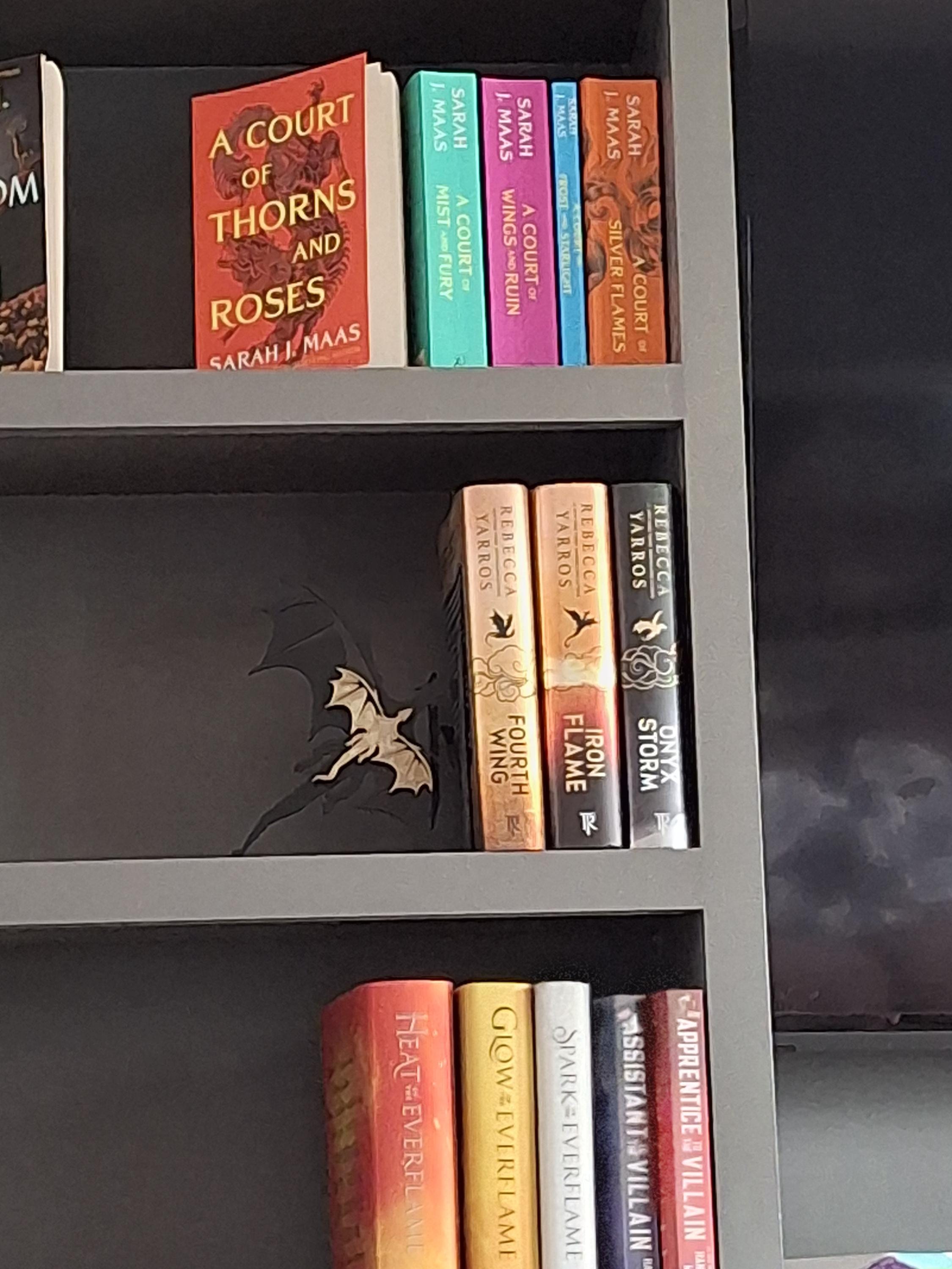 Fourth Wing inspired bookend