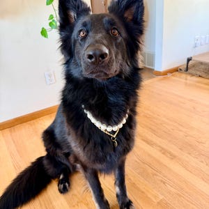 Heidi added a photo of their purchase