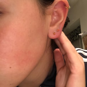 Desiree さんが購入した商品の写真を追加しました