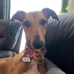 Maya added a photo of their purchase