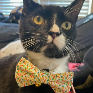 Eugenia ha añadido una foto de su compra