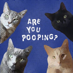 Comprador de Etsy ha añadido una foto de su compra