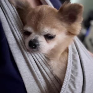 Morgan ha añadido una foto de su compra