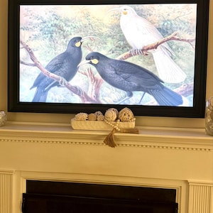 Caitlin added a photo of their purchase