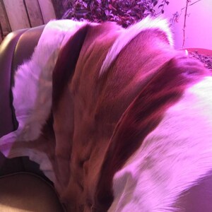 North American Red Fox Hide Ethically Sourced Fox Leather | Etsy