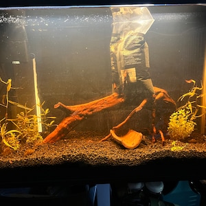 madison added a photo of their purchase