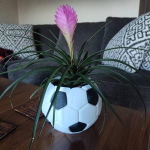 Lisa added a photo of their purchase