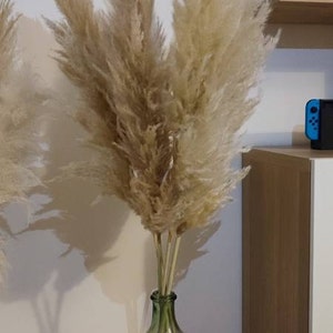 Alice ha añadido una foto de su compra