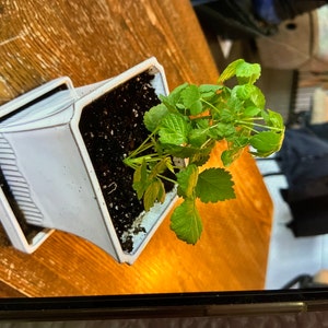 Sharon added a photo of their purchase