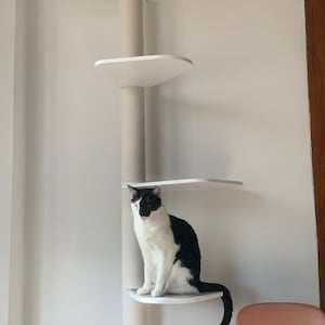 Lorena ha añadido una foto de su compra
