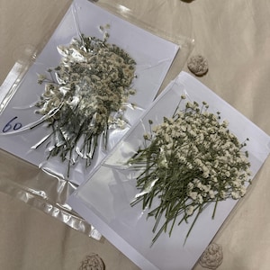 Alejandra added a photo of their purchase
