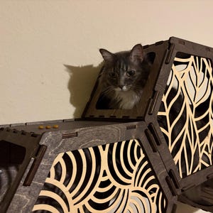 Leila added a photo of their purchase