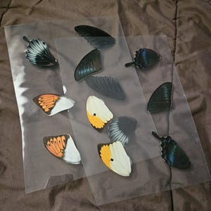 Em added a photo of their purchase