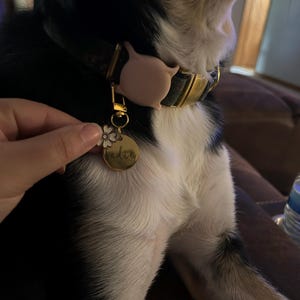 Brittany added a photo of their purchase