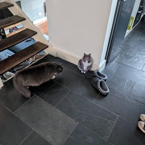 Emma added a photo of their purchase