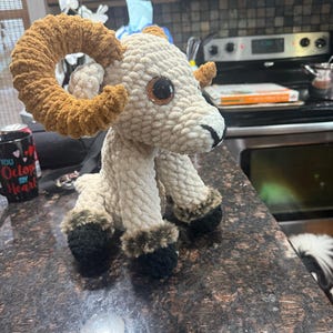 Kayla added a photo of their purchase
