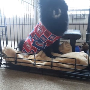 Rick added a photo of their purchase