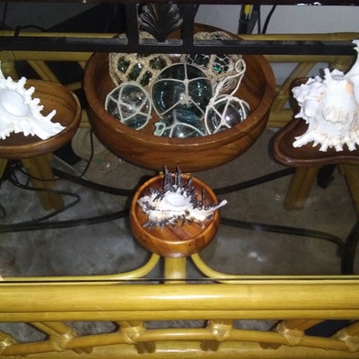 Conch Sea Shell Garden Quality 68 Conch Shell Imperfect Conch Sea Shell ...