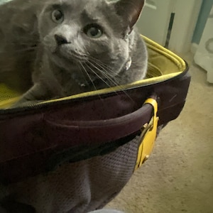Karen added a photo of their purchase