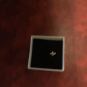 Sharon added a photo of their purchase