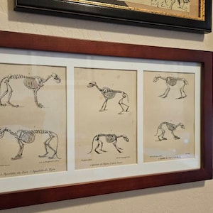 Sarah added a photo of their purchase