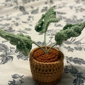 Kay さんが購入した商品の写真を追加しました