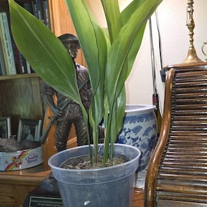 Elizabeth added a photo of their purchase