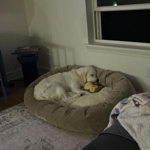 Helen added a photo of their purchase