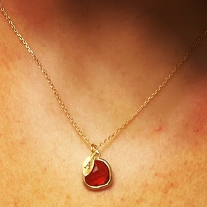 Ashley added a photo of their purchase