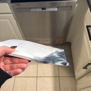 Grace added a photo of their purchase