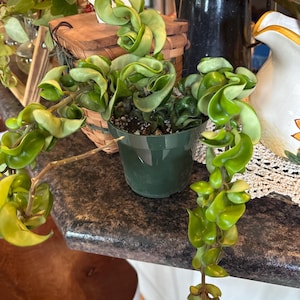 Kim added a photo of their purchase