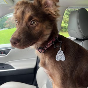 Kenzie added a photo of their purchase