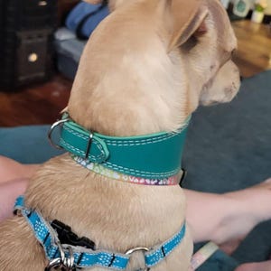 Thorn added a photo of their purchase