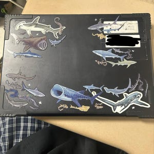 silas added a photo of their purchase