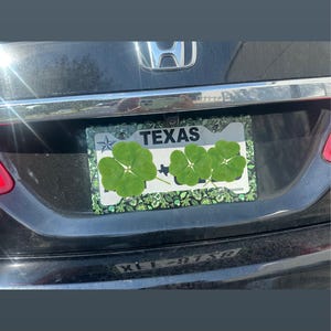Em. added a photo of their purchase