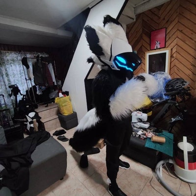 SALE Spectrum Protogen Body Pillow Cover/dakimakura - Etsy